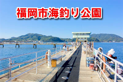 福岡市海釣り公園