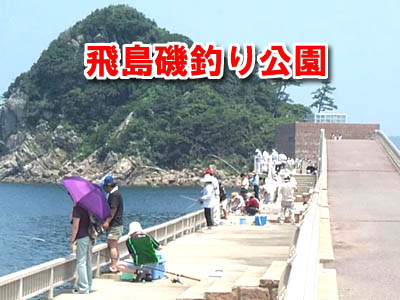 高島飛島磯釣公園