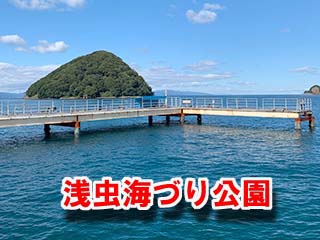 浅虫